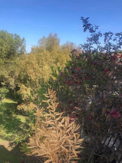 Casa Incantevole Con Vista Parco Appia Antica Villa โรม ภายนอก รูปภาพ