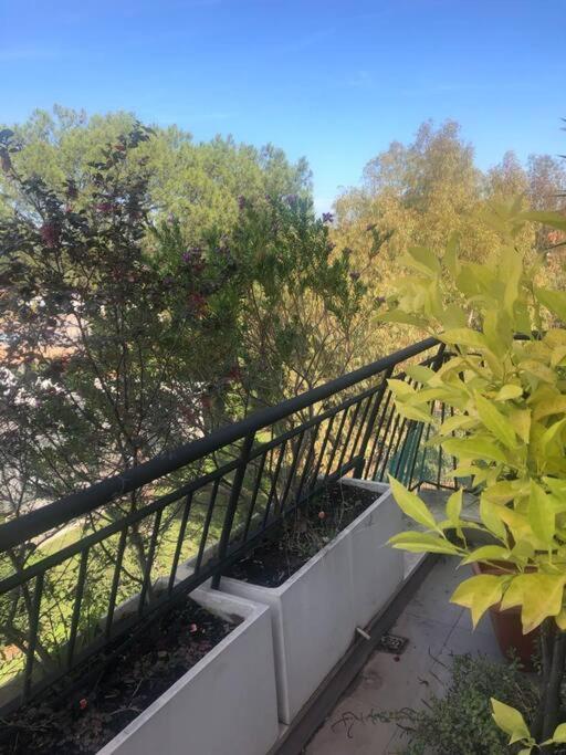 Casa Incantevole Con Vista Parco Appia Antica Villa โรม ภายนอก รูปภาพ